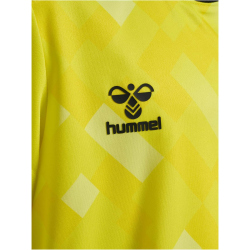 hummel DBU D&auml;nemark Torwarttrikot 2024 Kinder