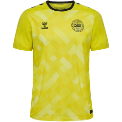 hummel DBU D&auml;nemark Torwarttrikot 2024