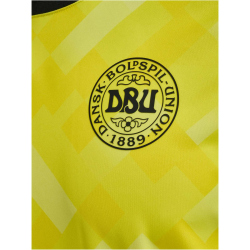 hummel DBU D&auml;nemark Torwarttrikot 2024