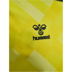 hummel DBU D&auml;nemark Torwarttrikot 2024