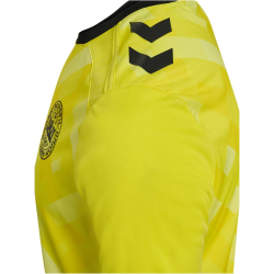 hummel DBU D&auml;nemark Torwarttrikot 2024