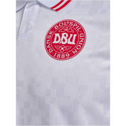 hummel DBU D&auml;nemark Ausw&auml;rtstrikot 2023/24 Kinder