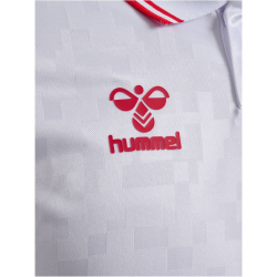 hummel DBU D&auml;nemark Ausw&auml;rtstrikot 2023/24 Kinder