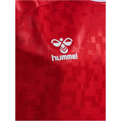 hummel DBU D&auml;nemark Heimtrikot 2024 Kinder