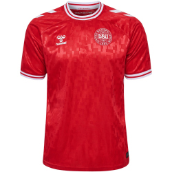 hummel DBU D&auml;nemark Heimtrikot 2024