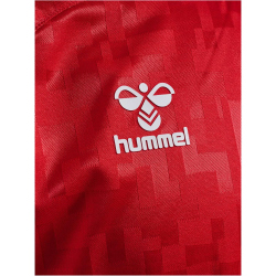 hummel DBU D&auml;nemark Heimtrikot 2024