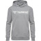 hummel hmlGO 2.0 Logo Hoodie