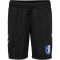 hummel 1. FC Magdeburg Ausweichshorts 2023/24 Kinder