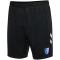 hummel 1. FC Magdeburg Ausweichshorts 2023/24