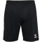 hummel 1. FC Magdeburg Ausweichshorts 2023/24