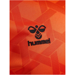 hummel SV Werder Bremen Torwarttrikot 2023/24 Kinder