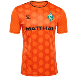 hummel SV Werder Bremen Torwarttrikot 2023/24