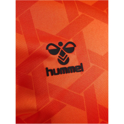 hummel SV Werder Bremen Torwarttrikot 2023/24