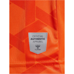 hummel SV Werder Bremen Torwarttrikot 2023/24