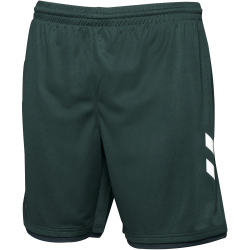 hummel SV Werder Bremen Ausweichshorts 2023/24 Kinder