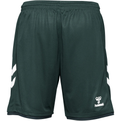 hummel SV Werder Bremen Ausweichshorts 2023/24 Kinder
