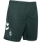 hummel SV Werder Bremen Ausweichshorts 2023/24 Kinder