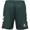 hummel SV Werder Bremen Ausweichshorts 2023/24 Kinder