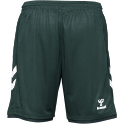 hummel SV Werder Bremen Ausweichshorts 2023/24