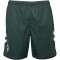 hummel SV Werder Bremen Ausweichshorts 2023/24