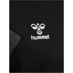 hummel hmlTRAVEL Sweat-Hoodie Damen