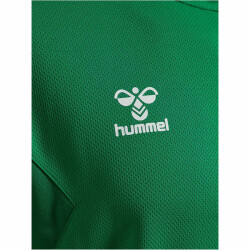 hummel hmlAUTHENTIC Poly Hoodie