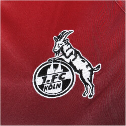 hummel 1. FC Köln eSports Trikot 2023/24 3782 - chili pepper 3XL