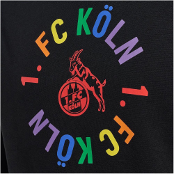 hummel 1. FC K&ouml;ln Fan Hoodie 2023/24 2001 - black S