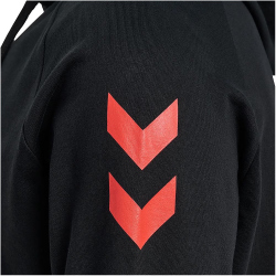 hummel 1. FC K&ouml;ln Fan Hoodie 2023/24 2001 - black S