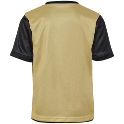 hummel hmlE24C wendbares Poly Trikot Kinder 2128 - black/gold 140