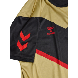 hummel hmlE24C wendbares Poly Trikot 2128 - black/gold XS