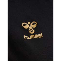 hummel hmlE24C Baumwoll-Hoodie 2128 - black/gold S