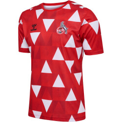 hummel 1. FC Köln Karneval Pre-Match Trikot 2023/24...