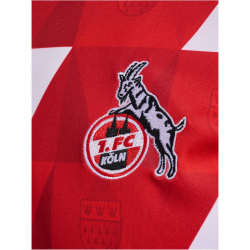 hummel 1. FC K&ouml;ln Karneval Pre-Match Trikot 2023/24 Kinder 3062 - true red 116