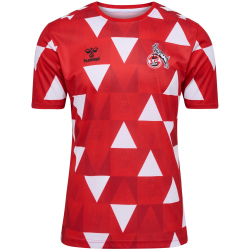 hummel 1. FC Köln Karneval Pre-Match Trikot 2023/24...