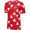 hummel 1. FC Köln Karneval Pre-Match Trikot 2023/24 3062 - true red 5XL