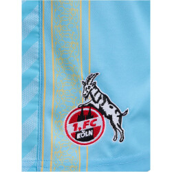 hummel 1. FC Köln Karneval Torwartshorts 2023/24 Kinder 6475 - airy blue 116