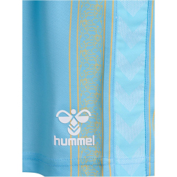 hummel 1. FC K&ouml;ln Karneval Torwartshorts 2023/24 6475 - airy blue S