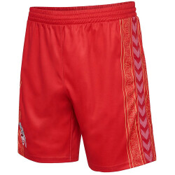 hummel 1. FC Köln Karneval Shorts 2023/24 Kinder...