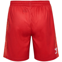 hummel 1. FC K&ouml;ln Karneval Shorts 2023/24 Kinder 3062 - true red 116