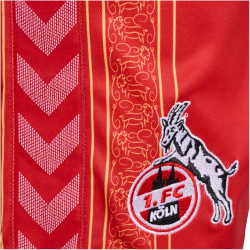 hummel 1. FC K&ouml;ln Karneval Shorts 2023/24 Kinder 3062 - true red 116