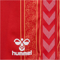 hummel 1. FC K&ouml;ln Karneval Shorts 2023/24 Kinder 3062 - true red 116