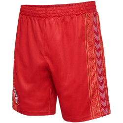 hummel 1. FC Köln Karneval Shorts 2023/24 3062 -...