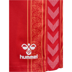 hummel 1. FC K&ouml;ln Karneval Shorts 2023/24 3062 - true red S