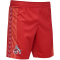 hummel 1. FC K&ouml;ln Karneval Shorts 2023/24 3062 - true red S