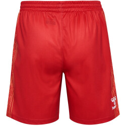 hummel 1. FC Köln Karneval Shorts 2023/24 3062 - true red L