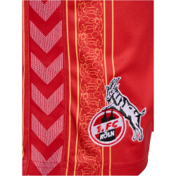 hummel 1. FC Köln Karneval Shorts 2023/24 3062 - true red XXL
