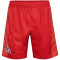 hummel 1. FC Köln Karneval Shorts 2023/24 3062 - true red XXL