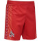 hummel 1. FC Köln Karneval Shorts 2023/24 3062 - true red XXL