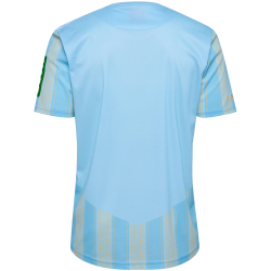 hummel 1. FC K&ouml;ln Karneval Torwarttrikot 2023/24 Kinder 6475 - airy blue 116
